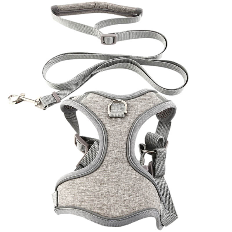 Harnais et laisse gris pour chat